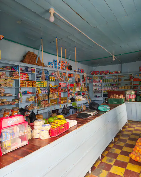 Interior de una bodega de barrio, con estantes llenos de productos y un mostrador largo